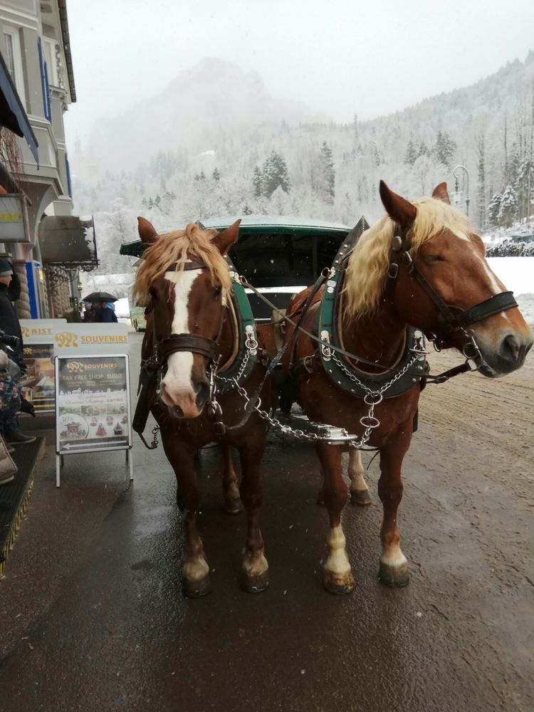Фотография автора Tatiana Shirenko