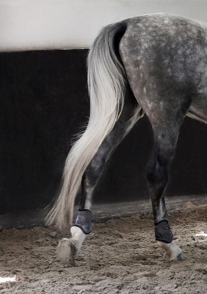 Фотография автора Наталья Белова