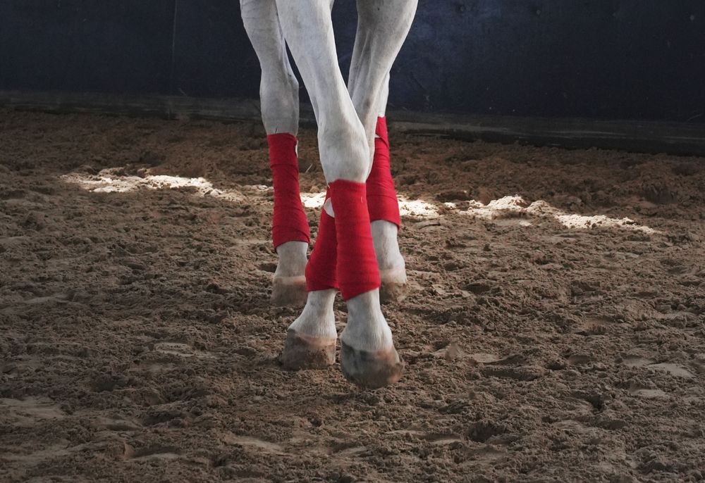 Фотография автора Наталья Белова