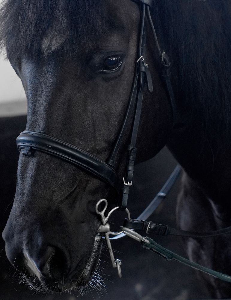 Фотография автора Наталья Белова