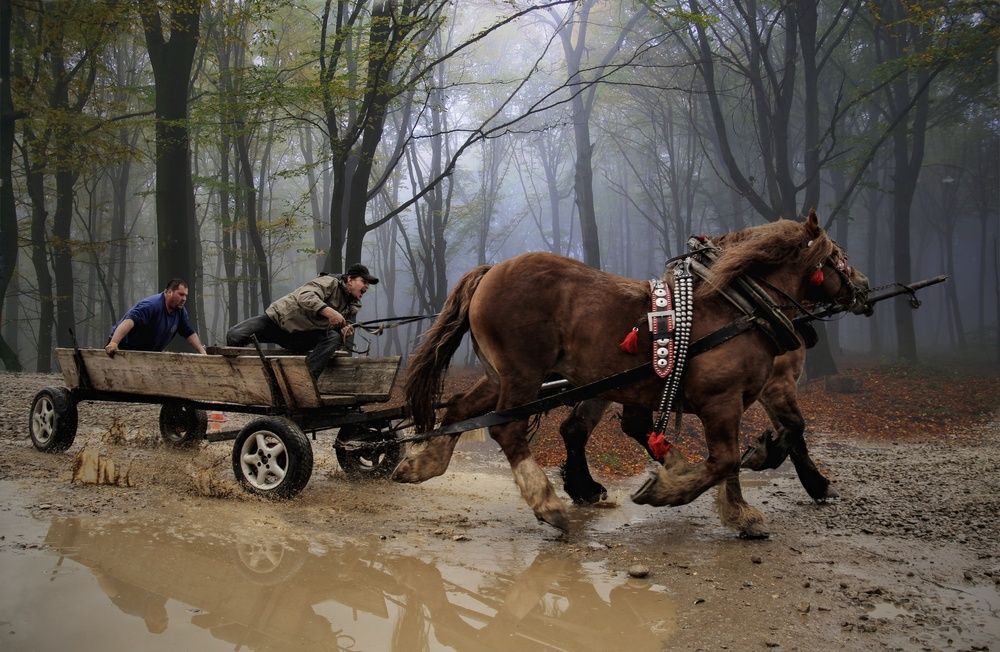 Фотография автора Magdalena Kolenicova