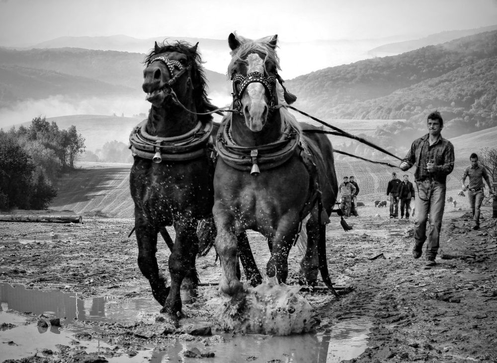 Фотография автора Magdalena Kolenicova