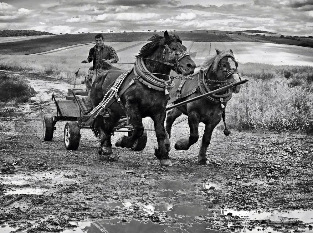 Фотография автора Magdalena Kolenicova