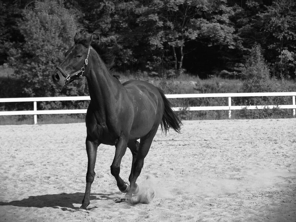 Photograph by Абдурахманов Магомед