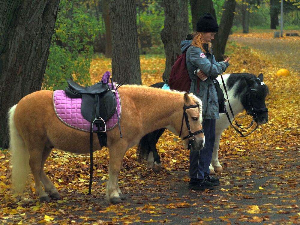 Photograph by Абдурахманов Магомед