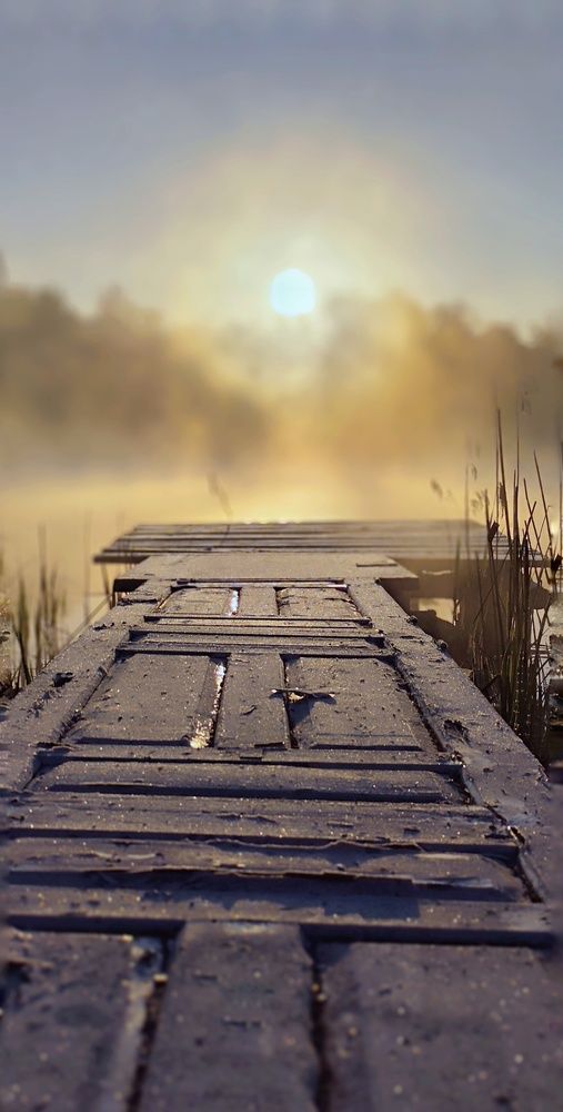 Photograph by Елена Кошелева