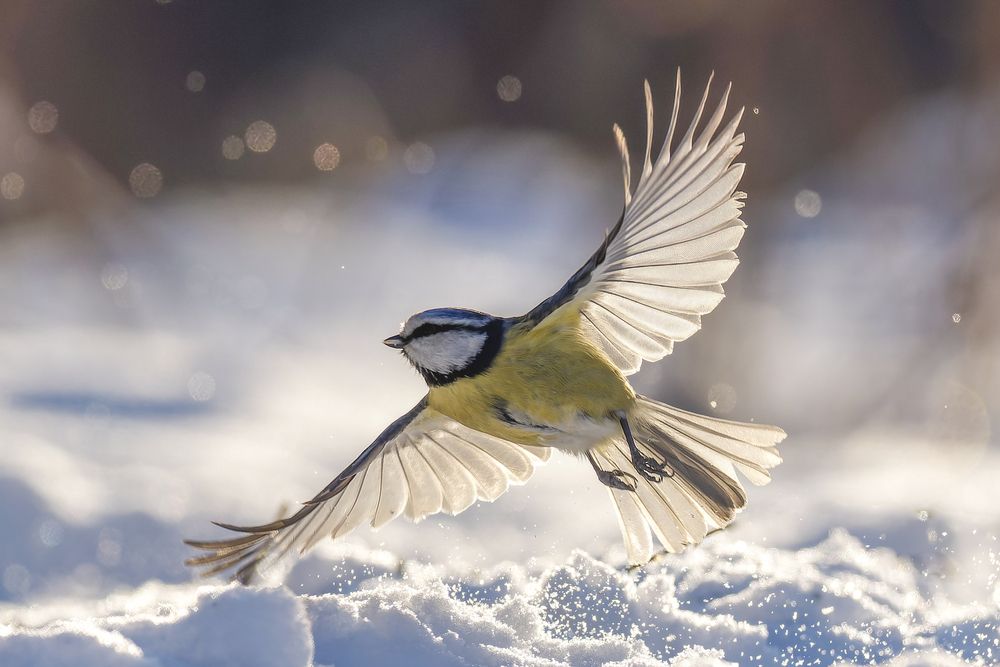 Photograph by Mariya Belyalova