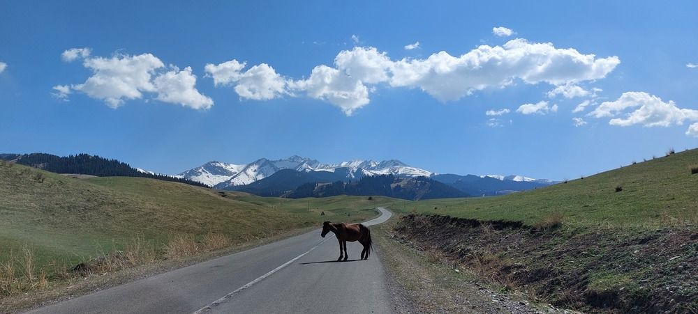 Photograph by Эльвира