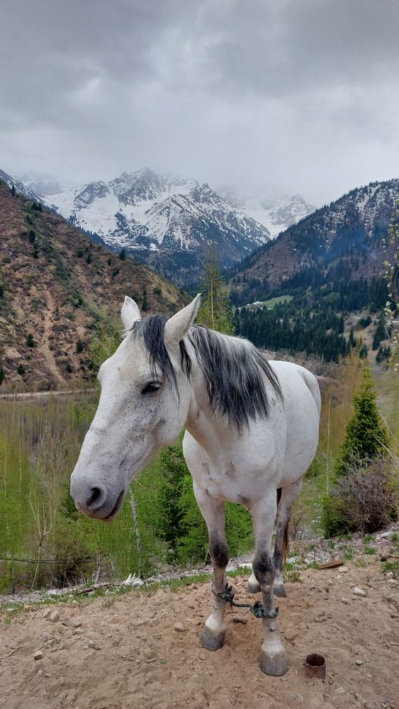 Photograph by Эльвира