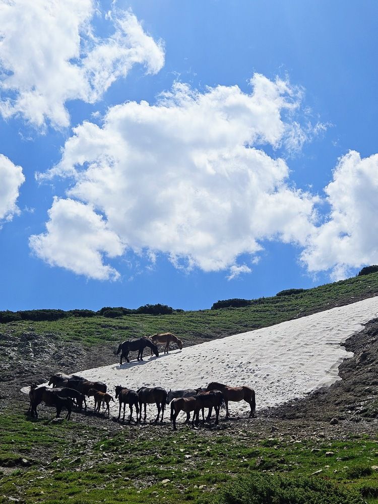 Photograph by Эльвира