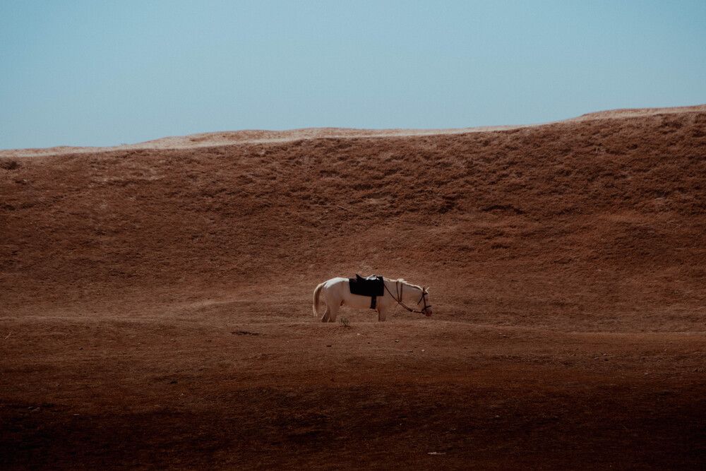 Photograph by Татьяна Мохова