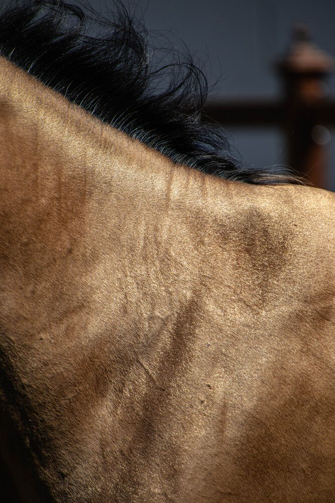 Photograph by Татьяна Мохова