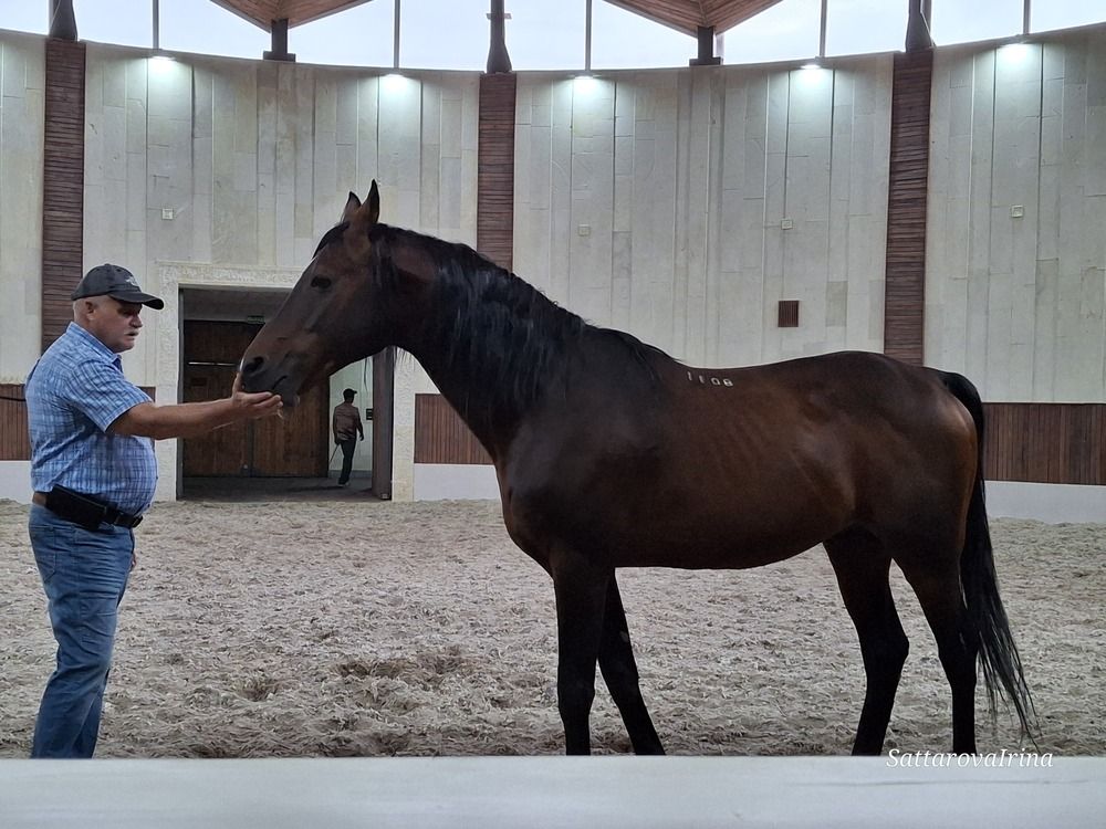 Photograph by Ирина Саттарова