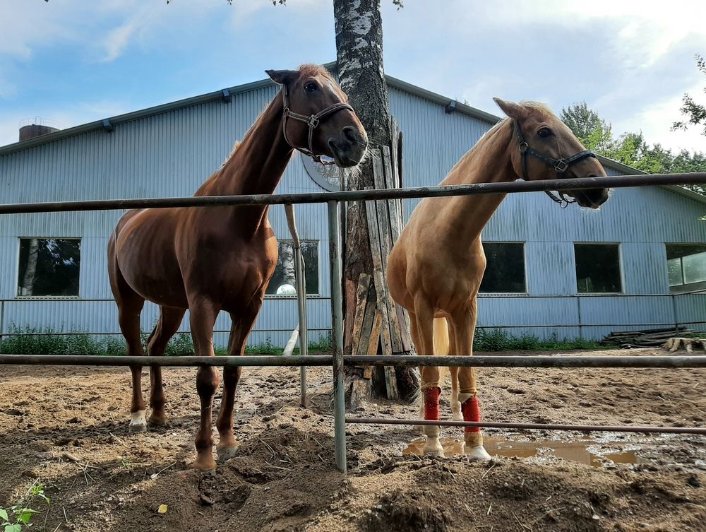 Photograph by Антонина Шабышева