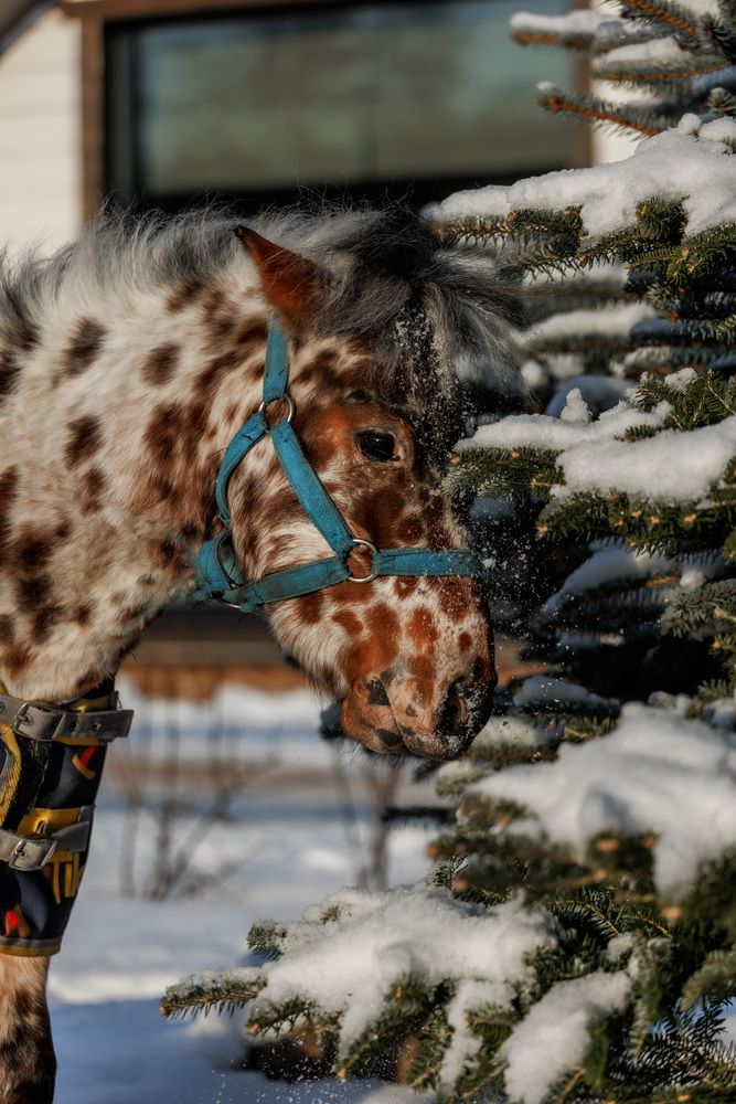 Фотография автора Fallen Angel