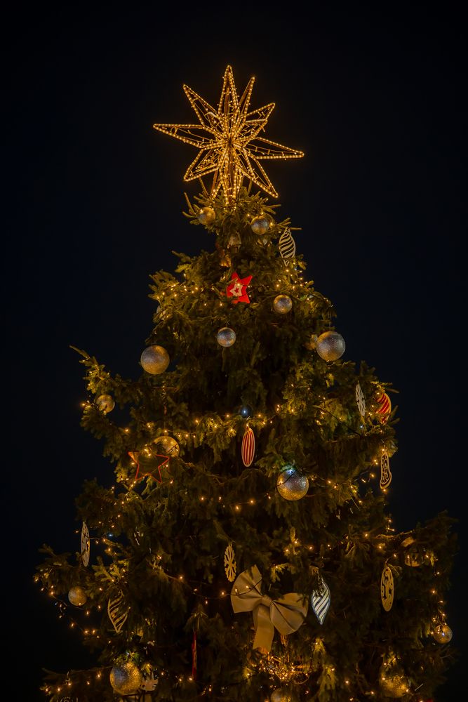 Photograph by Галина Григорьева