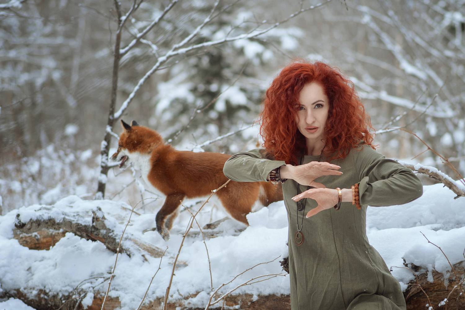 Фотография #12997966