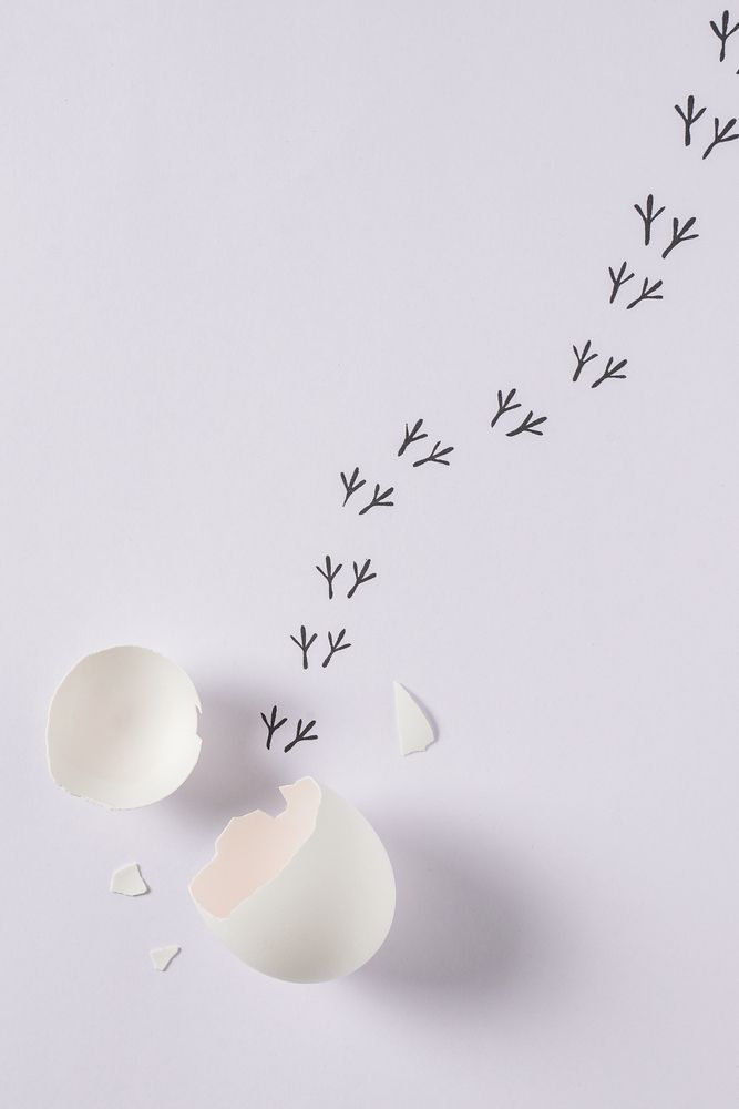 Photograph by Владимир Венедиктов