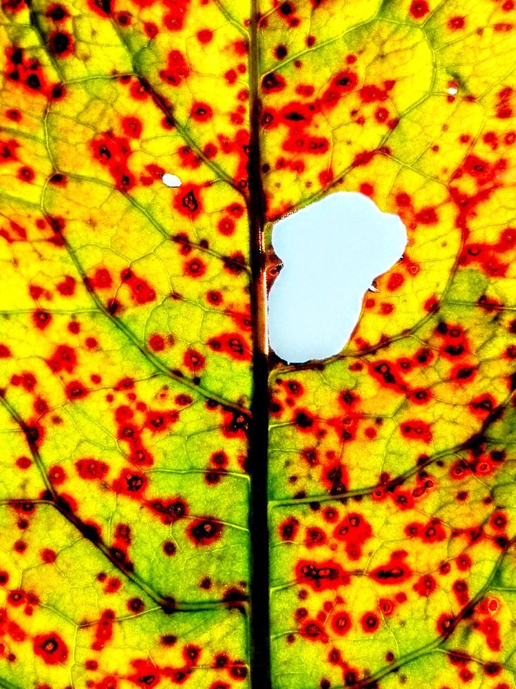 Фотография автора Александр Айзенштадт