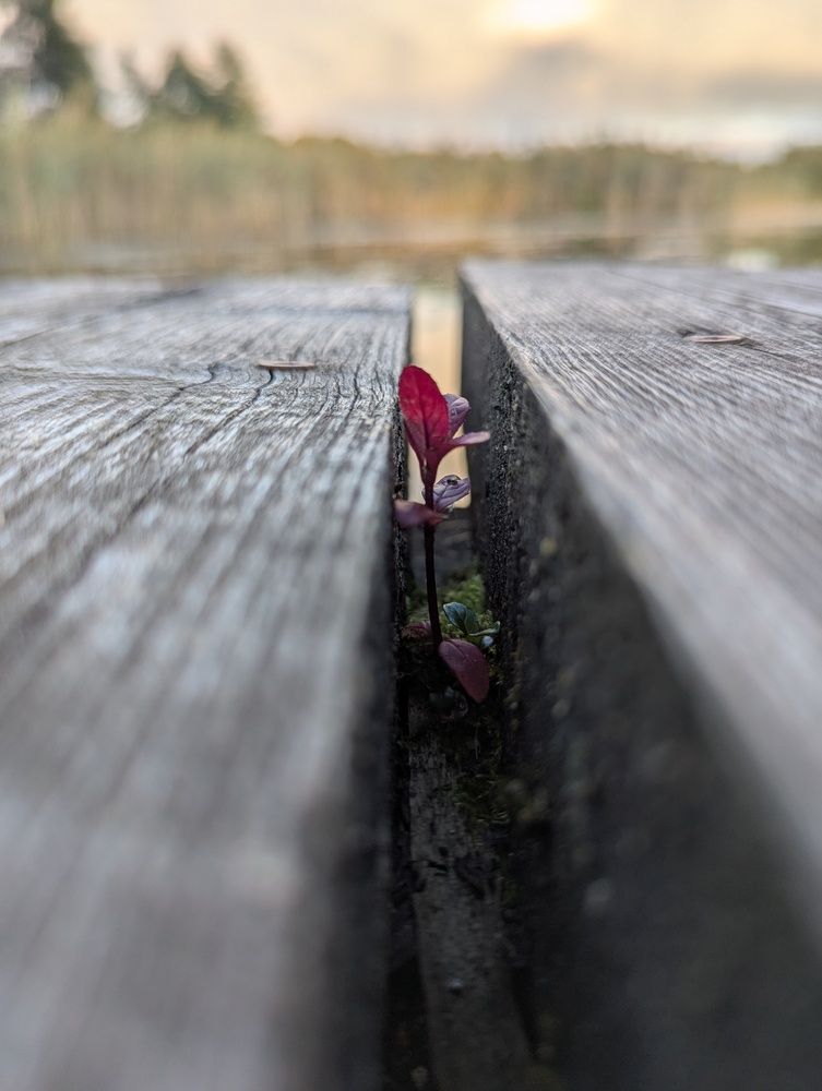 Photograph by Александр Айзенштадт