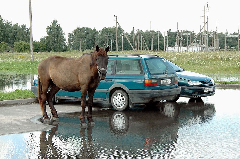 Фотография автора Николай Семенец