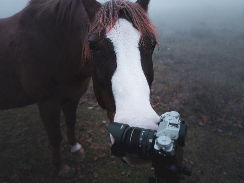 Photograph by Julian P. Biagini