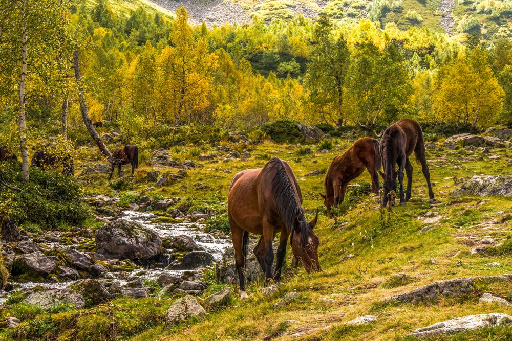 Фотография автора Иван Губский