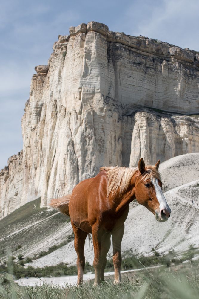Фотография автора Иван Губский
