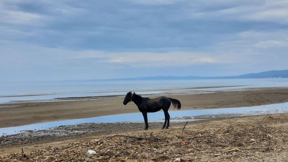 Photograph by Антон