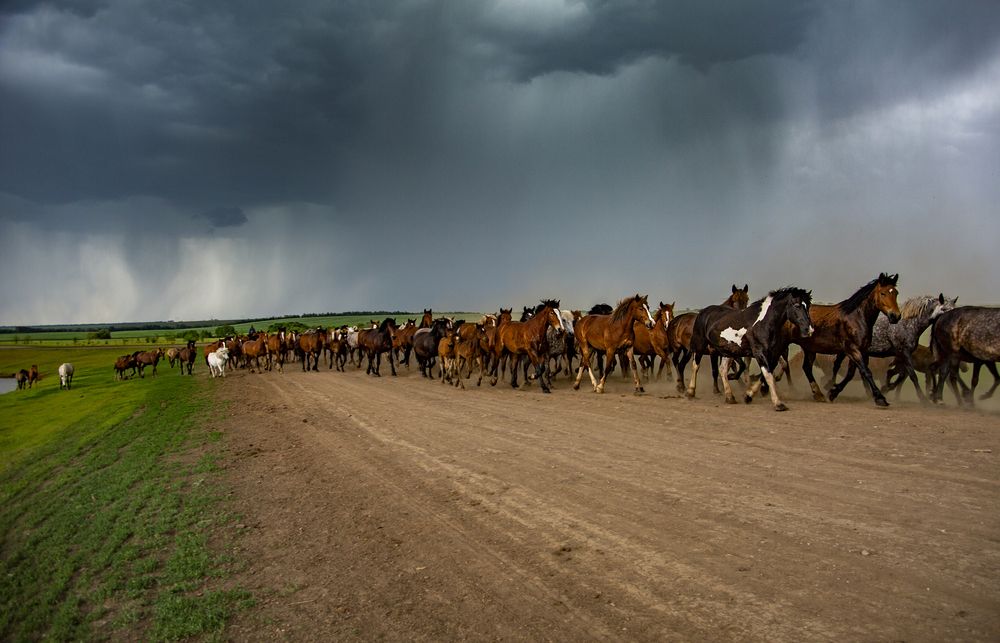 Photograph by Ольга Акутина