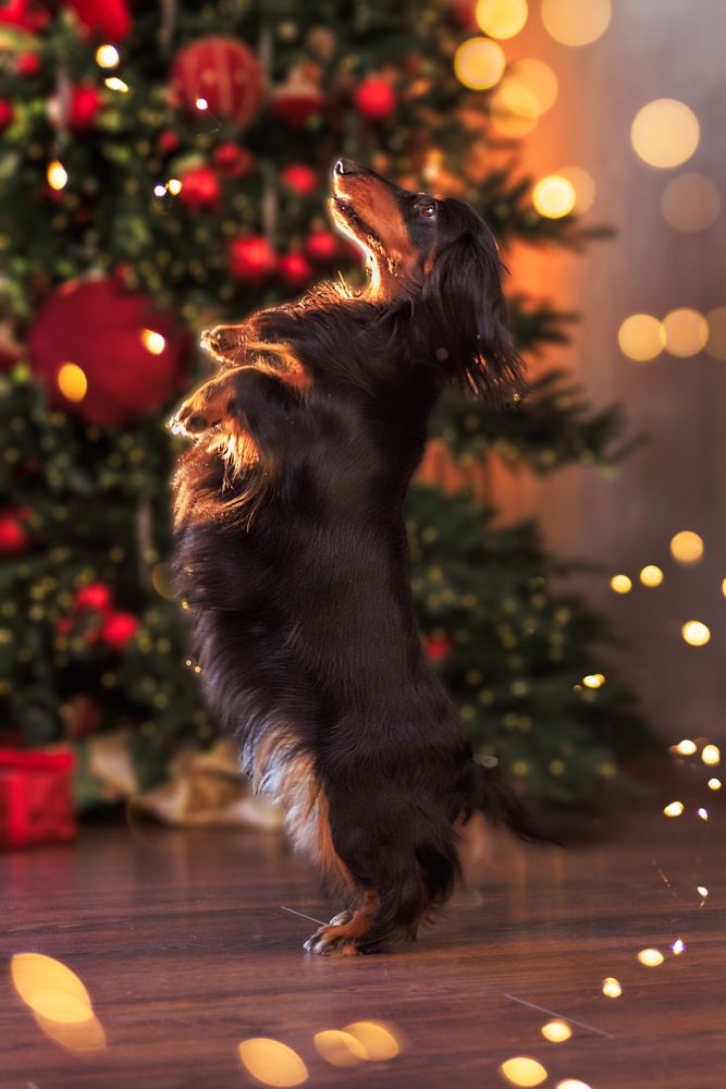 Фотография автора Наталья Якушонок