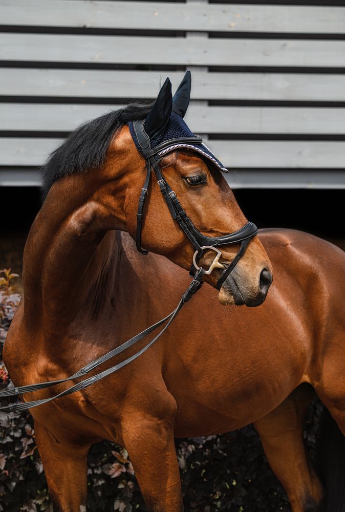 Photograph by Ирешева Мария