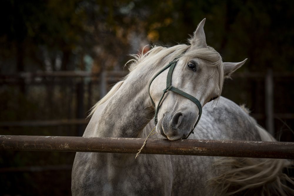 Photograph by Ольга Акутина