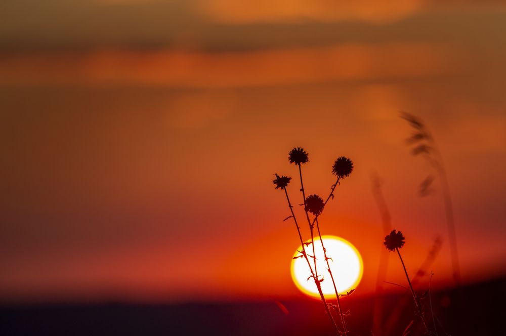 Photograph by Ольга Акутина