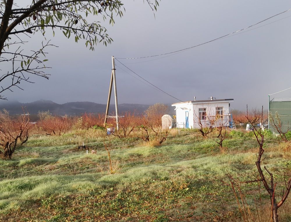 Photograph by Татьяна Ситникова