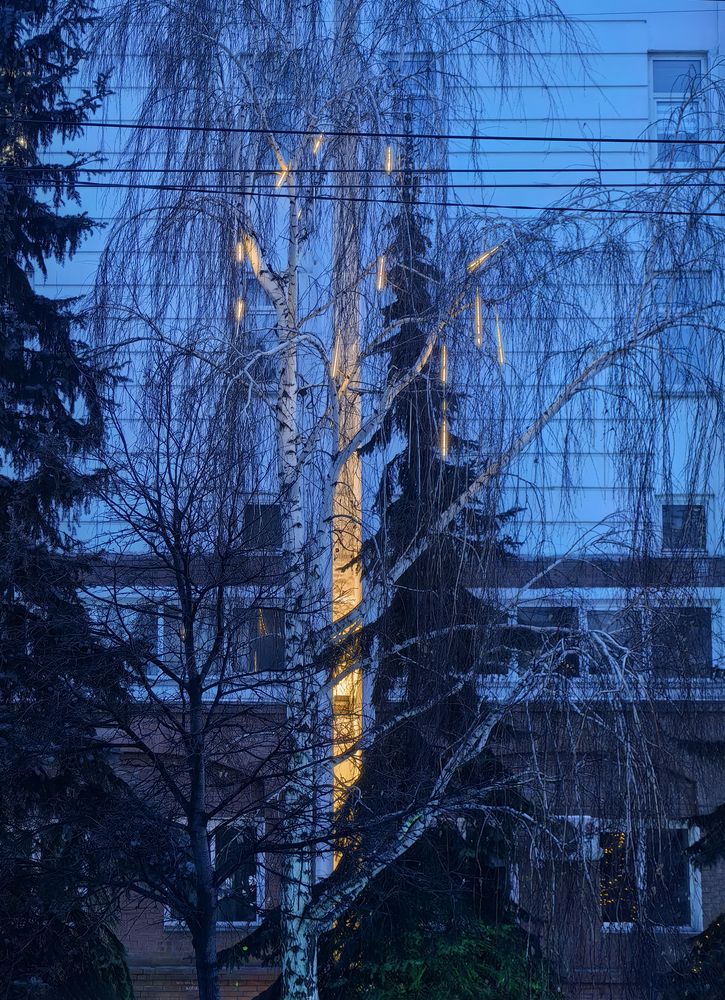 Фотография автора Андрей Логвинович