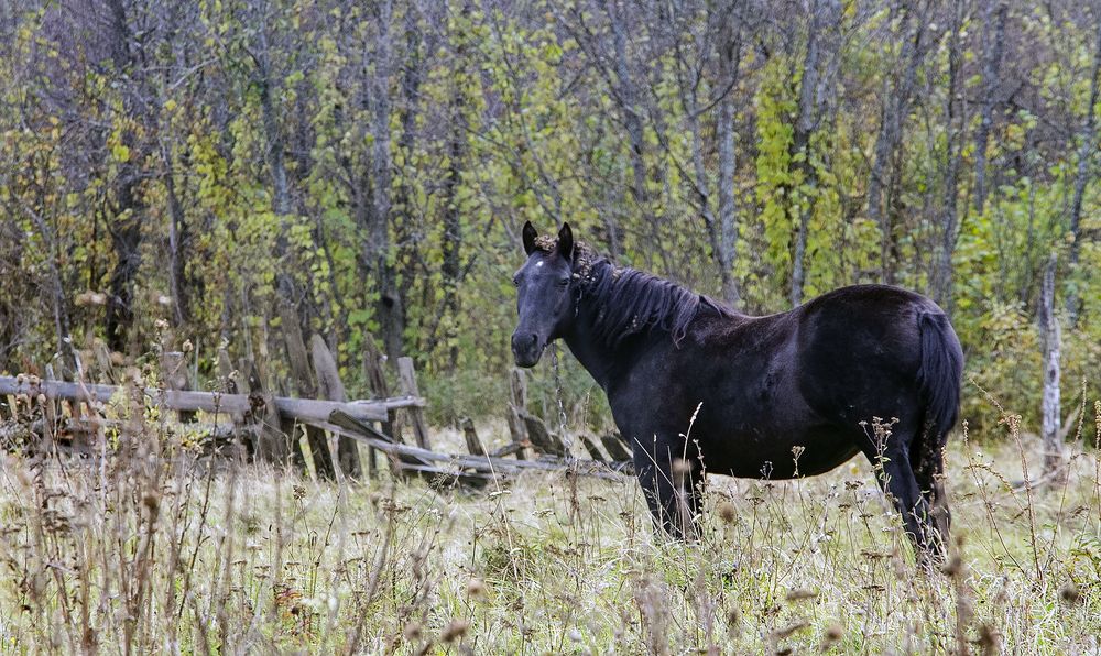 Photograph by Алексей Патлах