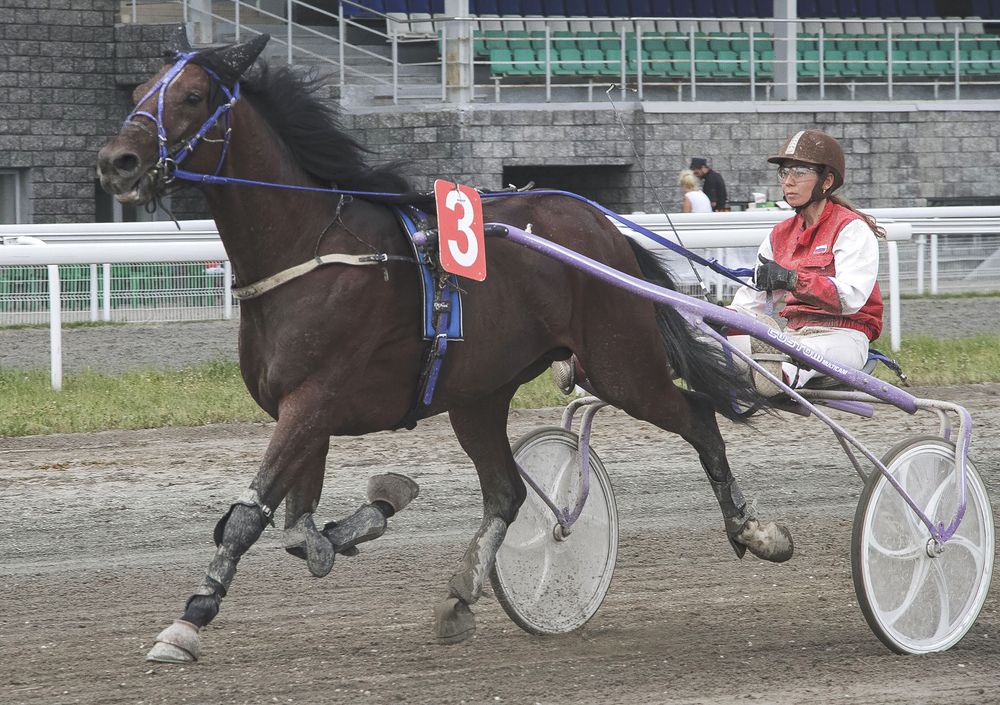 Photograph by Алексей Патлах