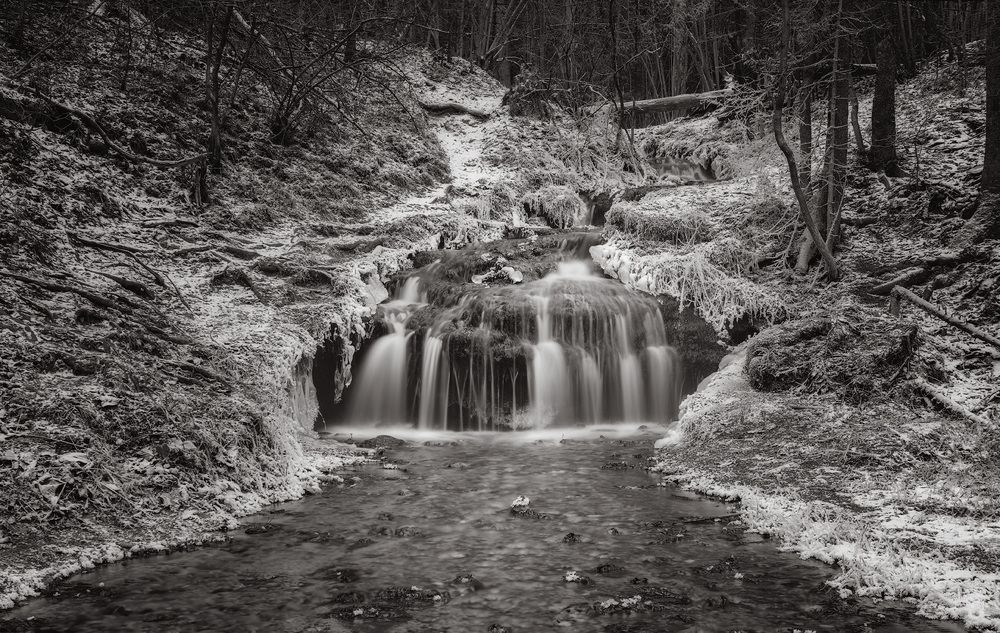 Photograph by Alexey Fedorov