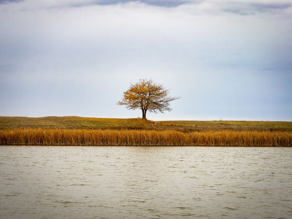 Photograph by Денис Полушин