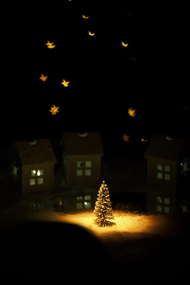 Photograph by Яна Истоцкая