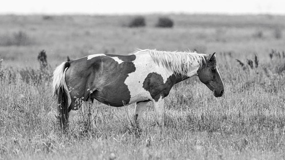 Фотография автора Олег Белан
