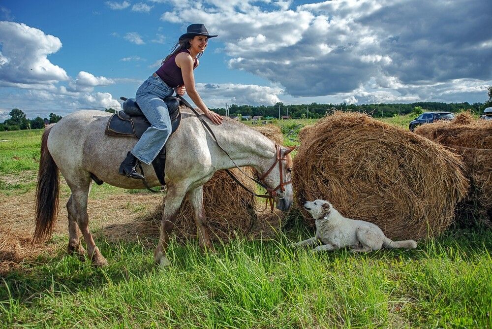 Photograph by Илья Чирков
