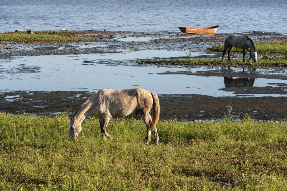 Photograph by Claudio Verón