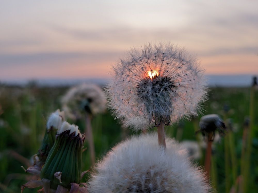 Photograph by Alexandr Gorelenkov