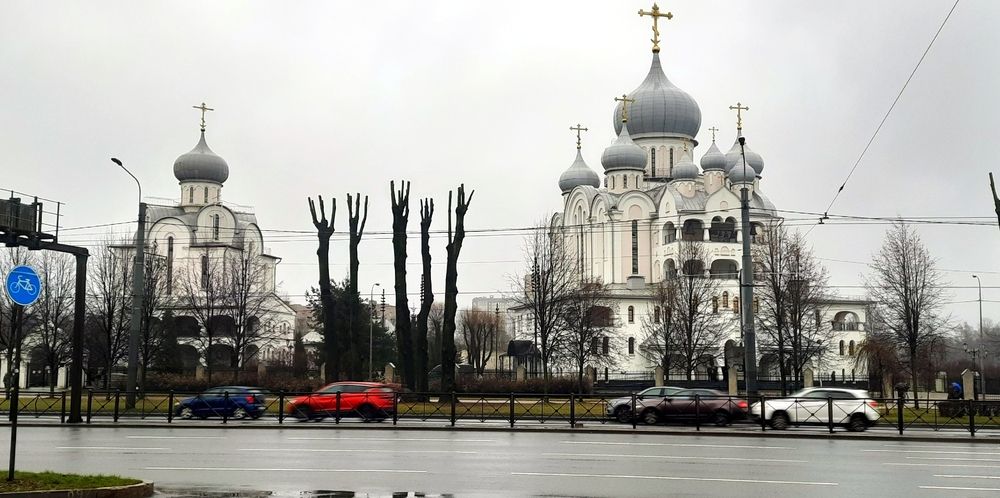 Стрижка деревьев в стиле виктори или руки вверх