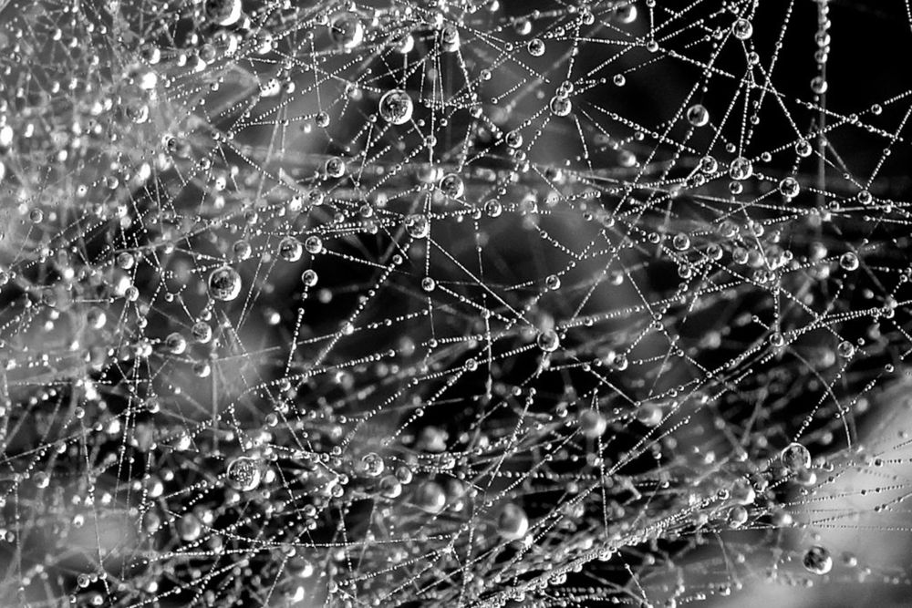 Photograph by Carmen Meló Mansanet