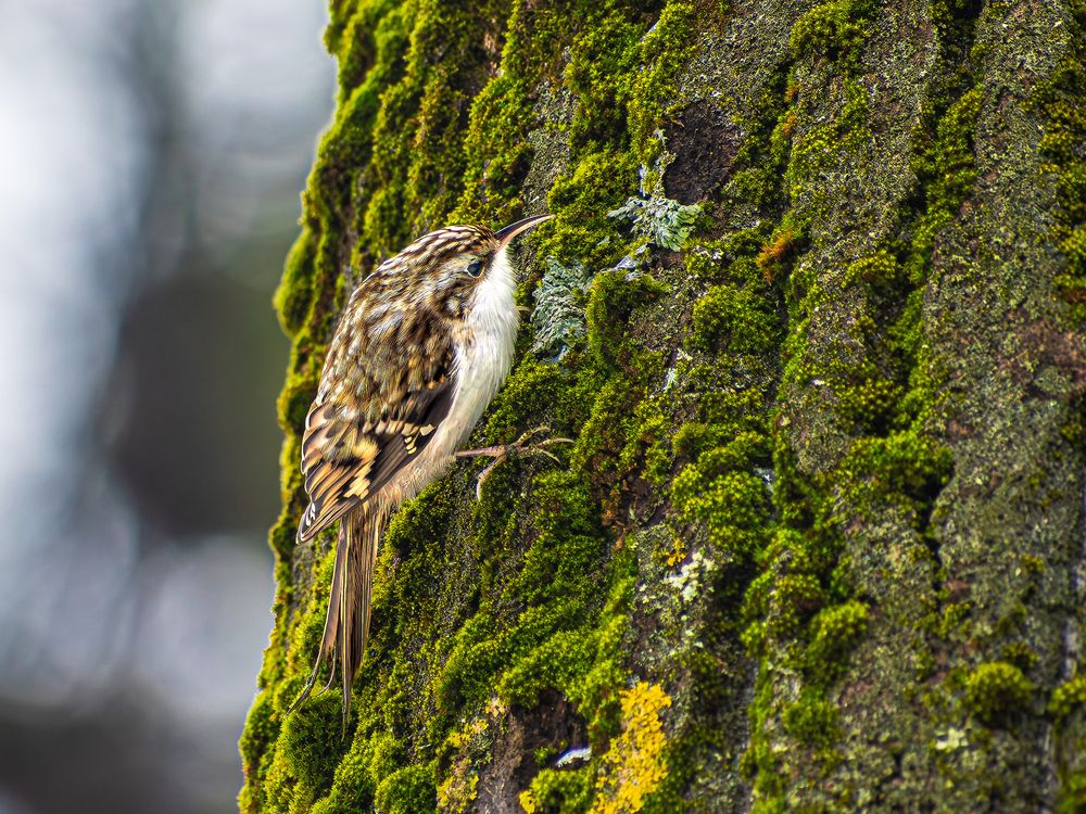 Photograph by Николай Абакумов