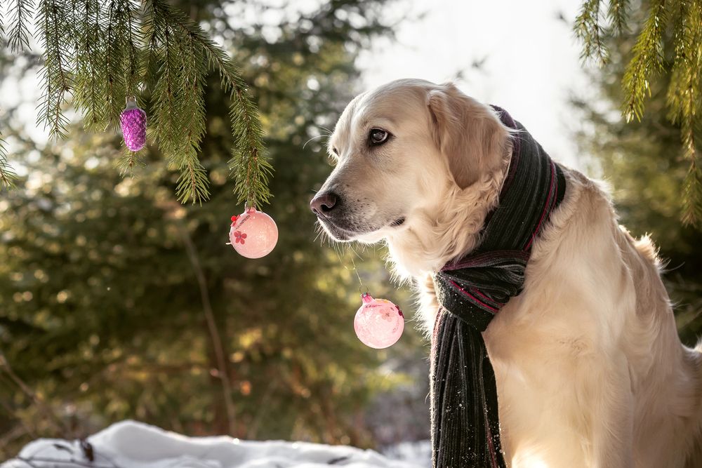 Photograph by Елена Соколова