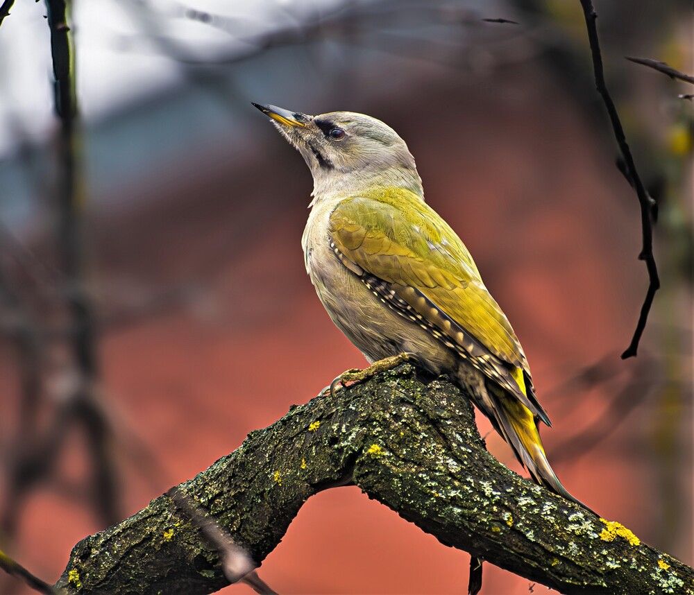 Photograph by Николай Абакумов